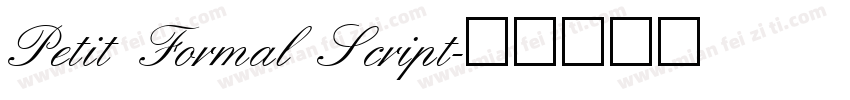 Petit Formal Script字体转换